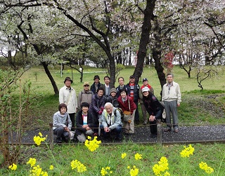 [ハイキングレポート] 第37回 横浜・三ツ沢公園、豊顕寺市民の森、常盤公園の散策