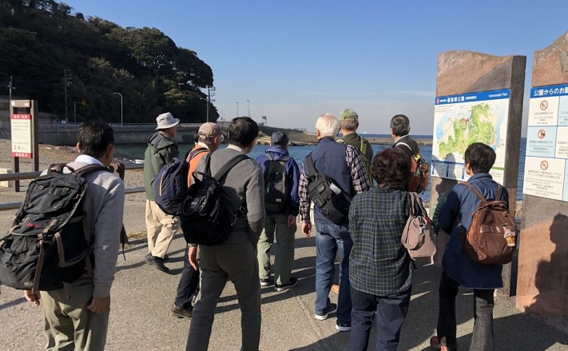 【ハイキングレポート】第52回観音崎から走水海岸散歩＋湯楽の里温泉